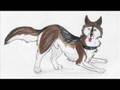 some of my fugly wolf drawings