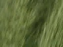 racingrus video JUNKERS