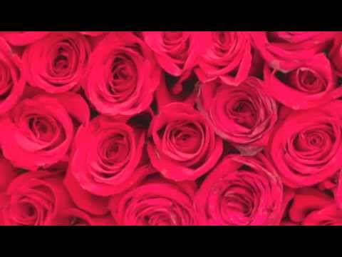 poetry..pashto.pukhto - pashto.....pukhto folkloric song......singer majabeen wa rasha janana wey wraz da dedan da nu saba ba na vi dedanuna rasha janana .. ka dedan krhe talwara wa...