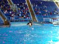 Shamu Believe Show San Antonio at Seaworld