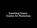 Exporting Still Images