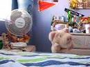 two puppets (pamala and rodgigo) go to the park and fell a magnetic attraction to eachotherr.