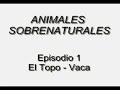 animales sobrenaturales