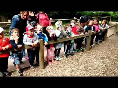 Image de prévisualisation YouTube