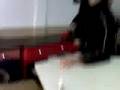 videos de La joda a serantes