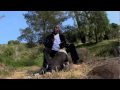 John Amos We Were Hippies Official Music Video and Lyrics