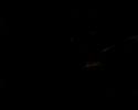 bad-taste-trailer.html