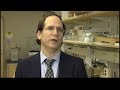 NON-HODGKIN_LYMPHOMA_ENVIRONME.wmv NON-HODGKIN_LYMPHOMA_ENVIRONME.wmv