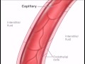 Pharmacology: Meds Distribution