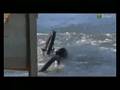 Tisza-to xtreme water jump
