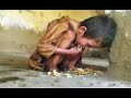 ผลของสงคราม ไม่เคยปราณี