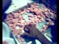 videos de DOMINICAN RAT RACE - CHOPOS FIGHTING FOR FOOD pt. 1