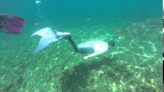 Mermaids at Catalina Island 2015