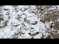 Winterimpressionen von der Ostsee