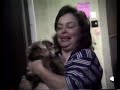 Dog or Human Fart ? Very Funny Yorkie Poo Farted, Terrier, Best Fart, Funniest Fart