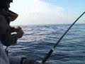 Sa�da no Pargo - 4�