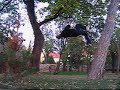 Rico Freerun Sampler 2007 Rico Freerun Sampler 2007