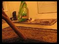 MVI_1395.AVI
