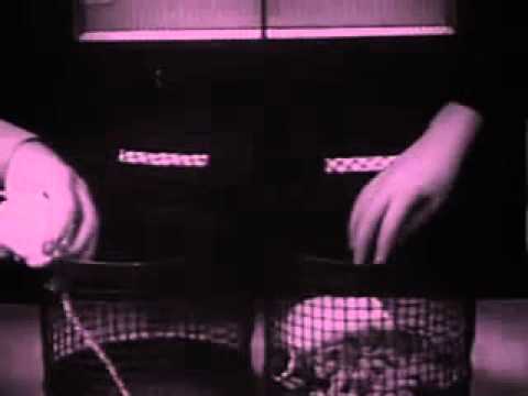 Youtube-videoupotus, klikkaa nähdäksesi!