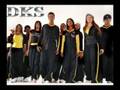 DKS 2008 GALERIA