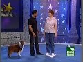 Amazing Blindfolded Dog on Pet Star!