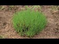 One Year at Hidden Pond Prairie - Part I