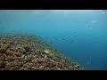 HD Movie by Canon EOS 5D Mark II and SIGMA 15mm F2.8 EX DG DIAGONAL FISHEYE