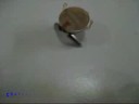 Papaya Dancing miniBOT