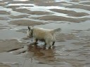 Cairn Cooling Classic