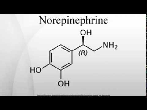 how to boost norepinephrine