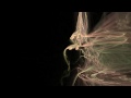 Apophysis-100428-*
