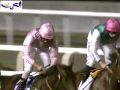 سباق الخيل، دبي شيما، السبق الكلاسيكي