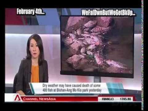 ✔ WEIRD EVENTS OF 2014!!! February, VERY SCARY SHIZZLE... 1of7