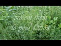 Click here to watch this video 24th day of 