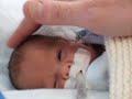 Baby Sam