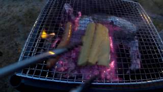 サゴシを釣ってソロキャンプ~part3・夕食サゴシの燻製と潮汁~