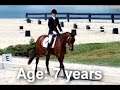 The Life of a Racehorse The Life of a Racehorse
