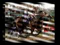 The Life of a Racehorse