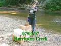 Hawk Release on Hurricane creek