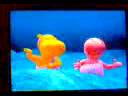 videos de o canto das sereias II