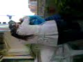 florgee y byluee