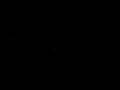 MOV01731