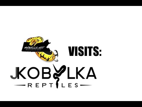 YouTube reptile video