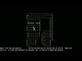 NetHack Tourist Ascension (Time Lapse)