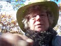 Nancy Today: How to sort Willow for basketry