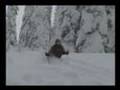 FERNIE WILDERNESS ADVENTURES CAT SKIING