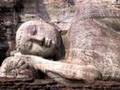 Beautiful Buddhas