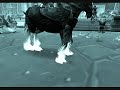 40-man-raid-on-if-the-aftermath.html