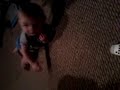 Click here to watch this video Gavin Crawling