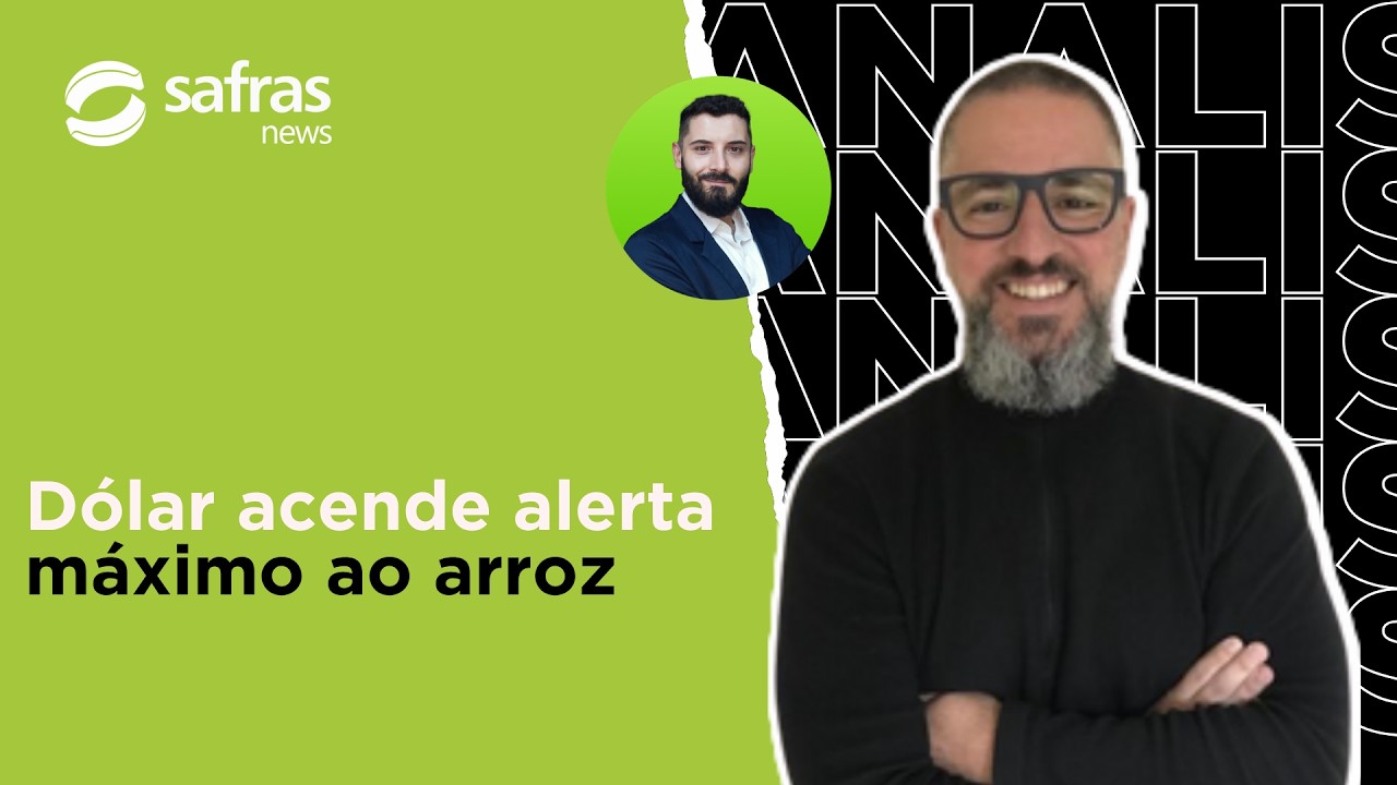 Arroz brasileiro perde competitividade e entra em fase crítica